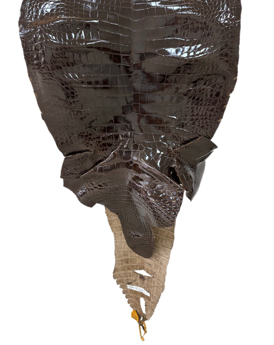 55 cm Grade 1/2 Sport Rust Brown Glazed Farm-Raised American Alligator Leather - Tag: LA14-0065785