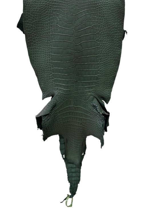 37 cm Grade 2/3 Forest Green Matte Wild American Alligator Leather - Tag: LA23-0049941