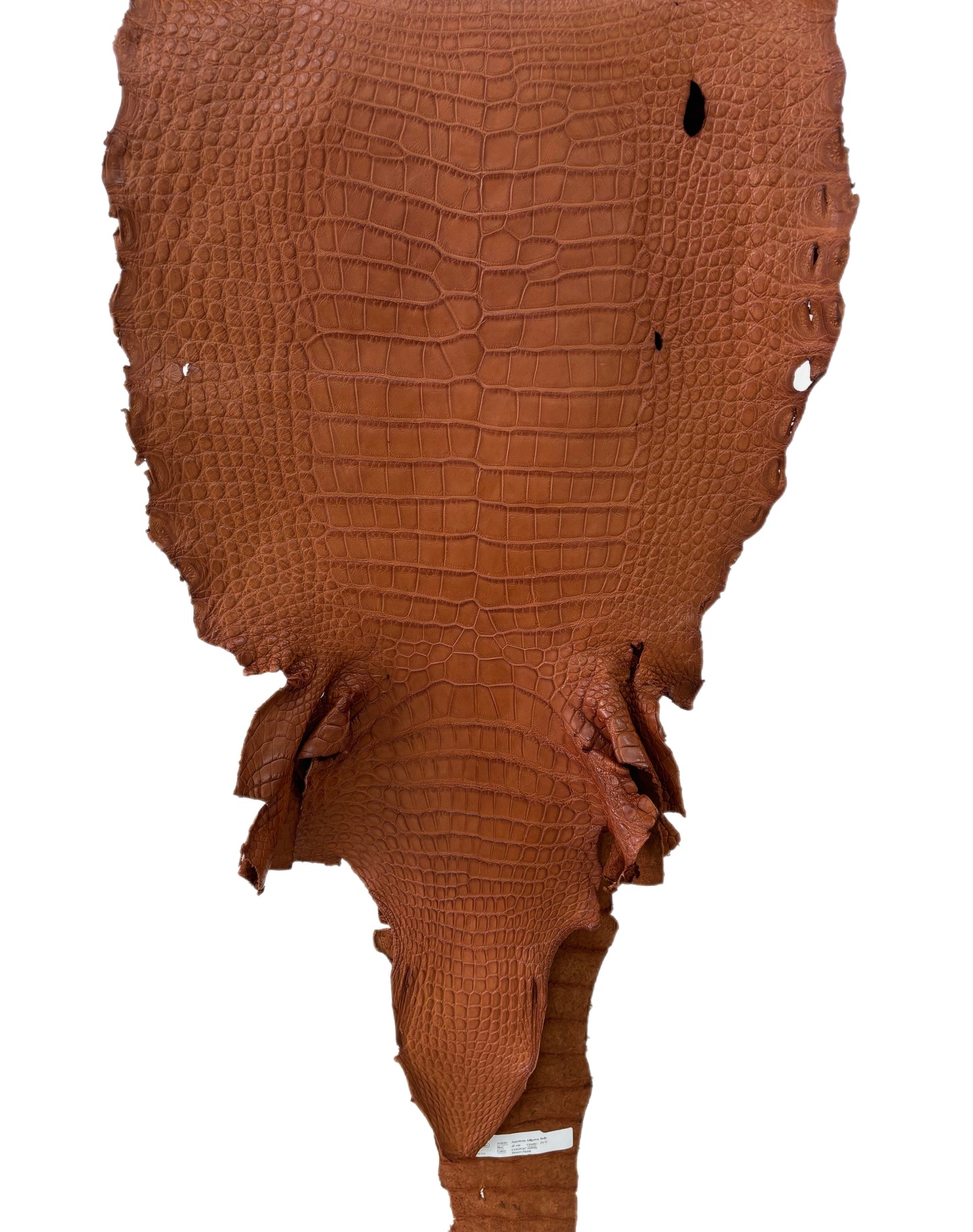 41 cm Grade 4/5 Cognac Matte Wild American Alligator Leather - Tag: LA23-0023019