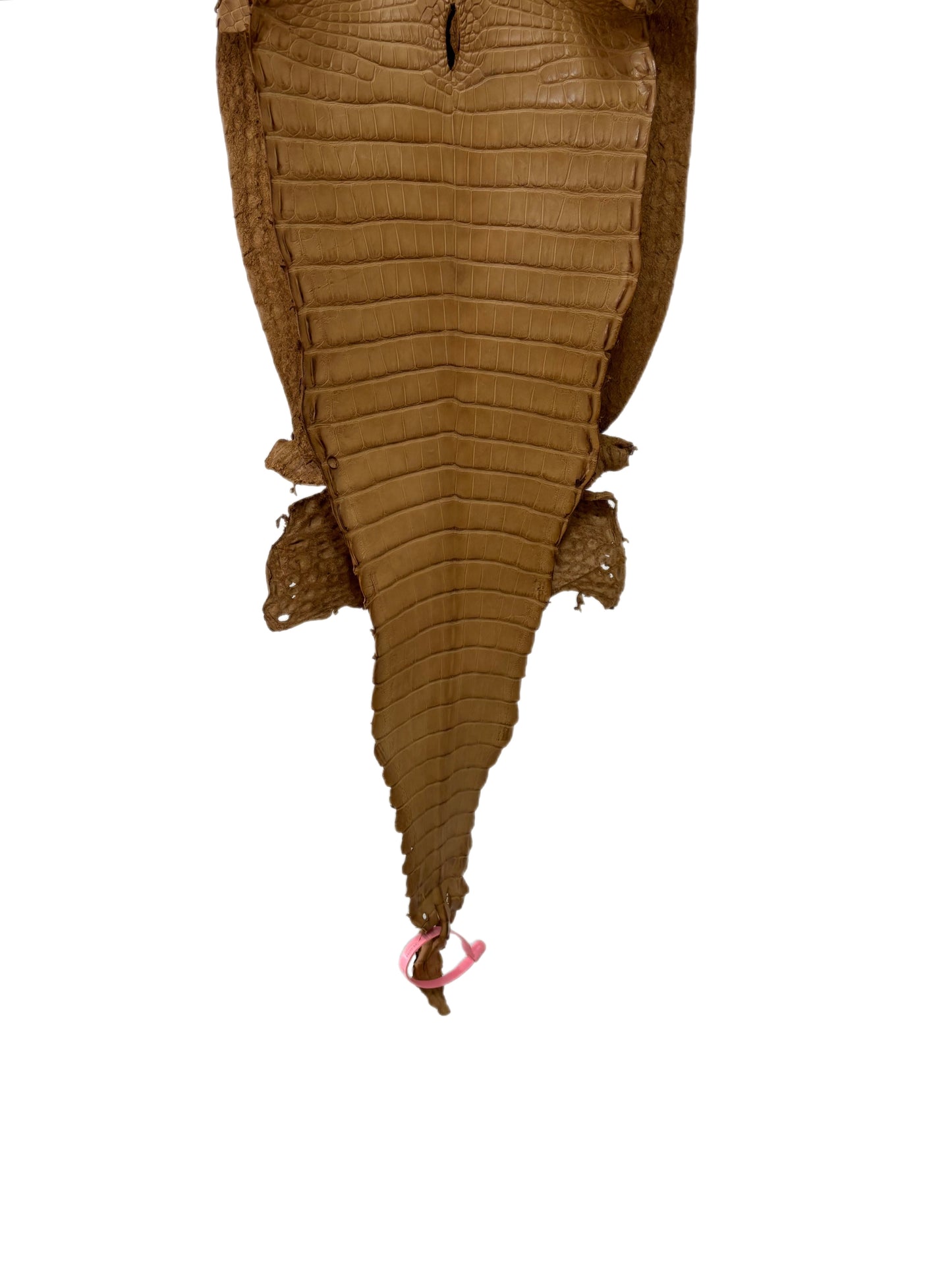 28 cm Grade 1/2 Antique Saddle Matte Farm-Raised American Alligator Leather - Tag: FL21-0024617