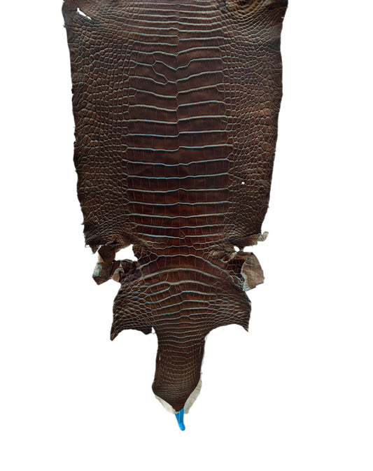 28 cm Grade 1/2 Pacifica Matte Wild American Alligator Leather - Tag: ESRE-0050865