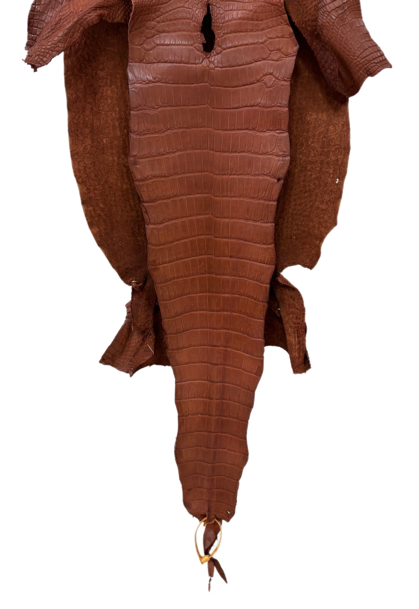 40 cm Grade 2/3 Rustic Cognac Matte Wild American Alligator Leather - Tag: LA23-0021515