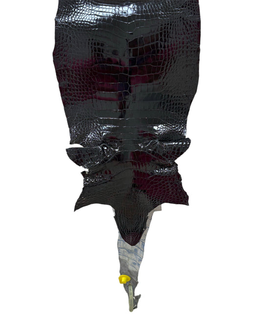 23 cm Grade 2/3 Navy Blue Glazed Wild American Alligator Leather - Tag: LA09-0107824