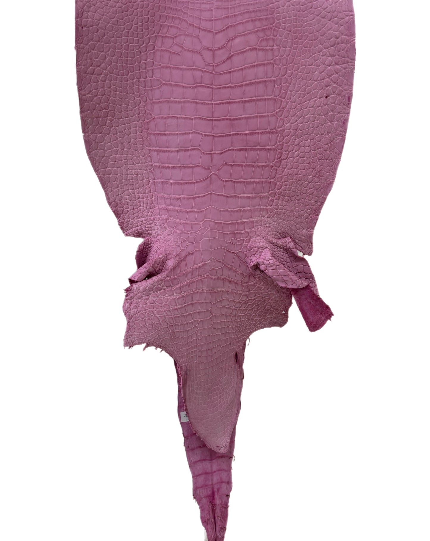 37 cm Grade 2/3 Cotton Candy Matte Wild American Alligator Leather - Tag: LA23-0019945