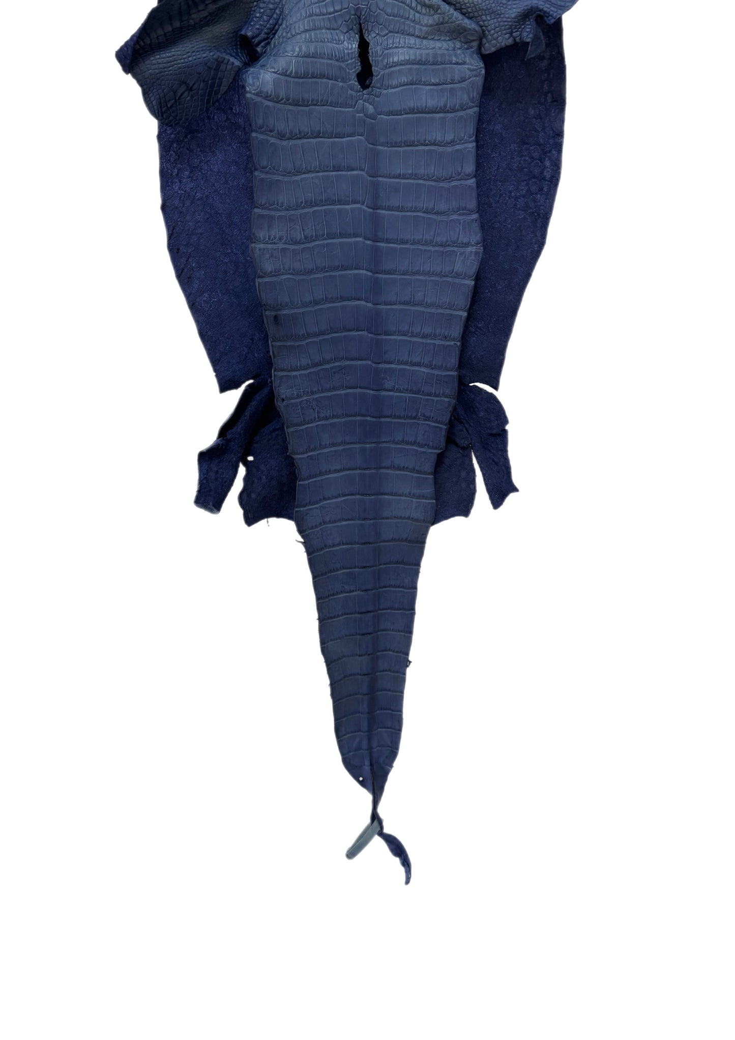 34 cm Grade 2/3 Indigo Matte Wild American Alligator Leather - Tag: LA16-0035548