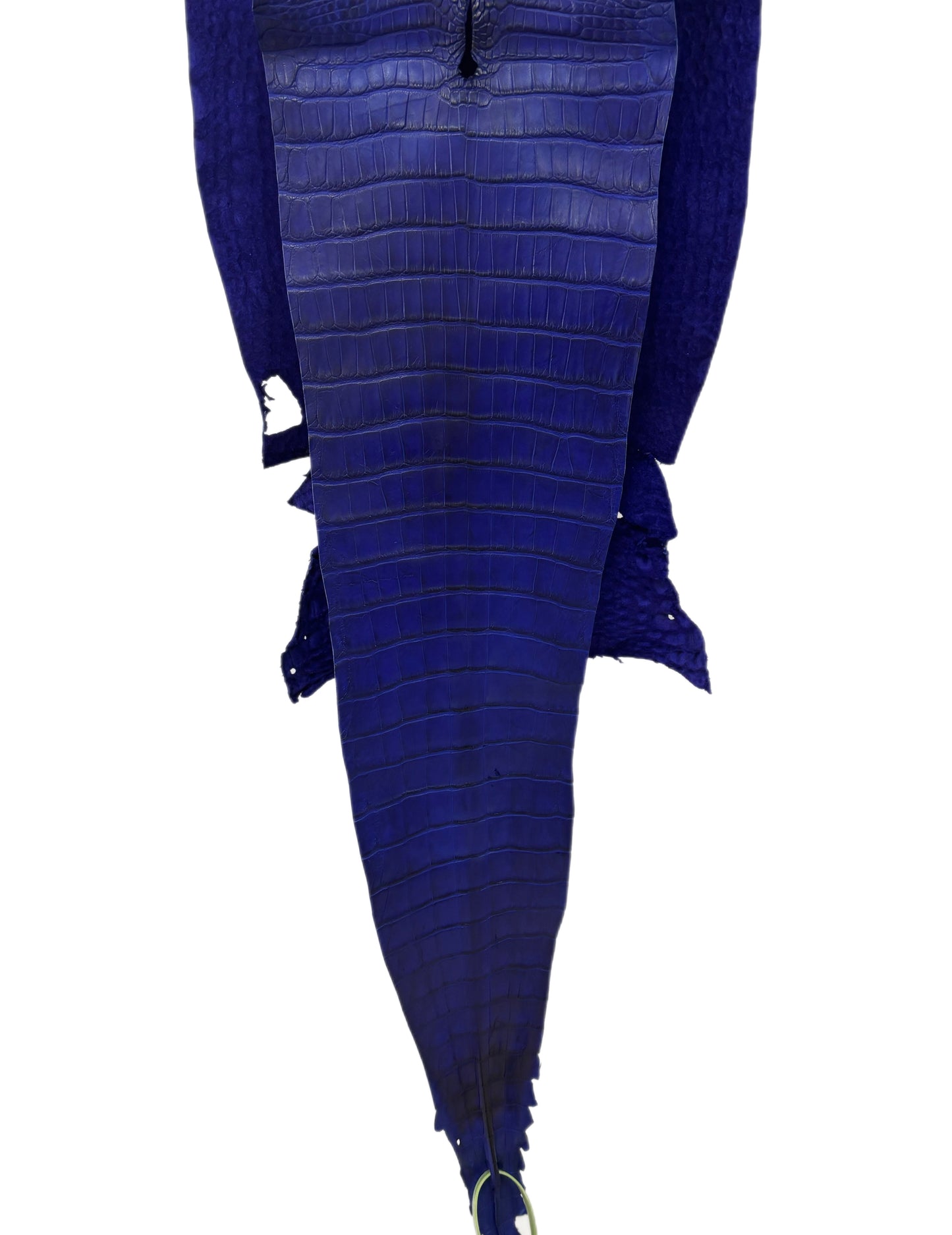 27 cm Grade 3/4 Cobalt Blue Matte Farm-Raised American Alligator Leather - Tag: FL22-0030246