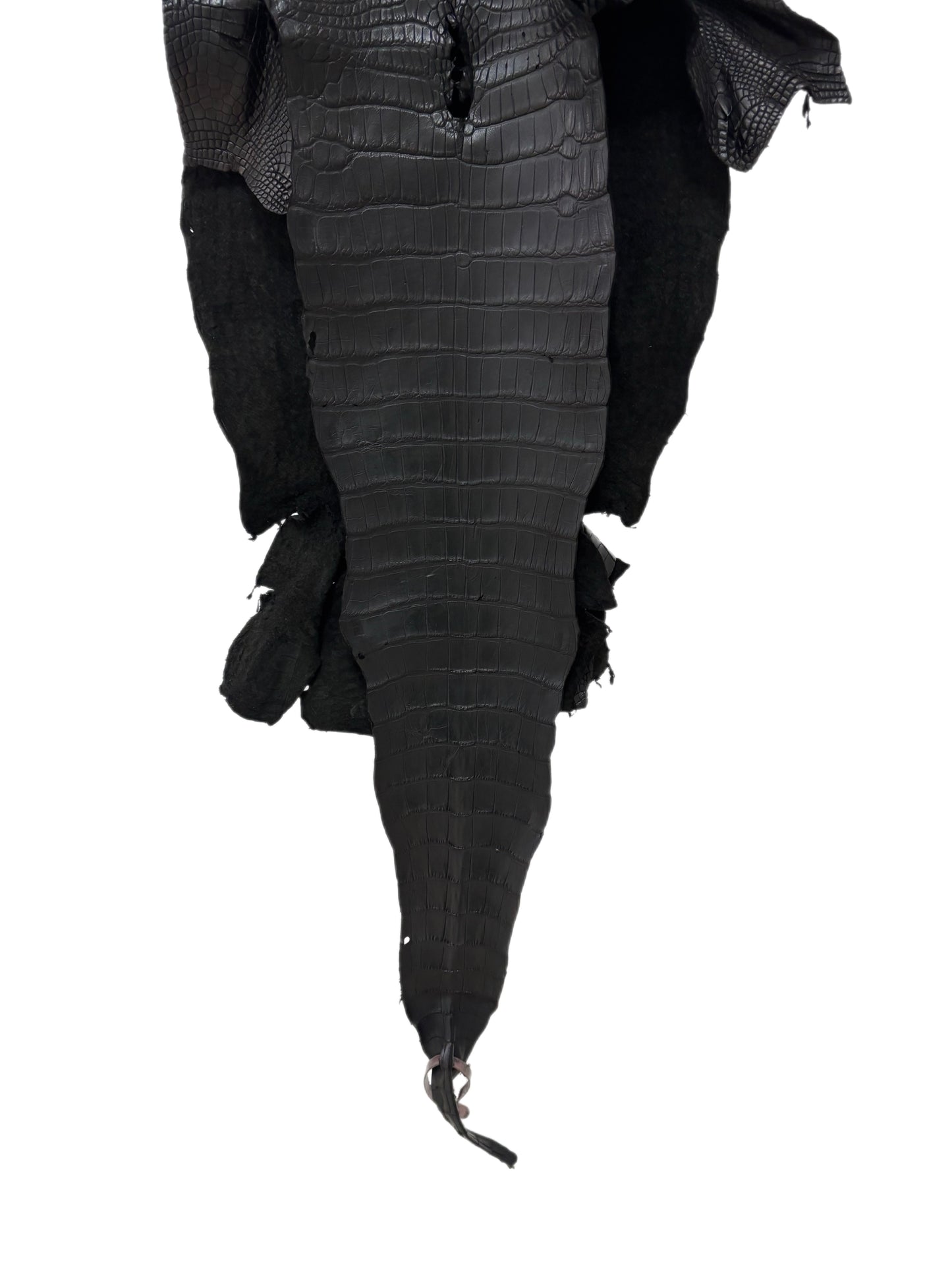 34 cm Grade 3/4 Black Matte Wild American Alligator Leather - Tag: LA18-0033278