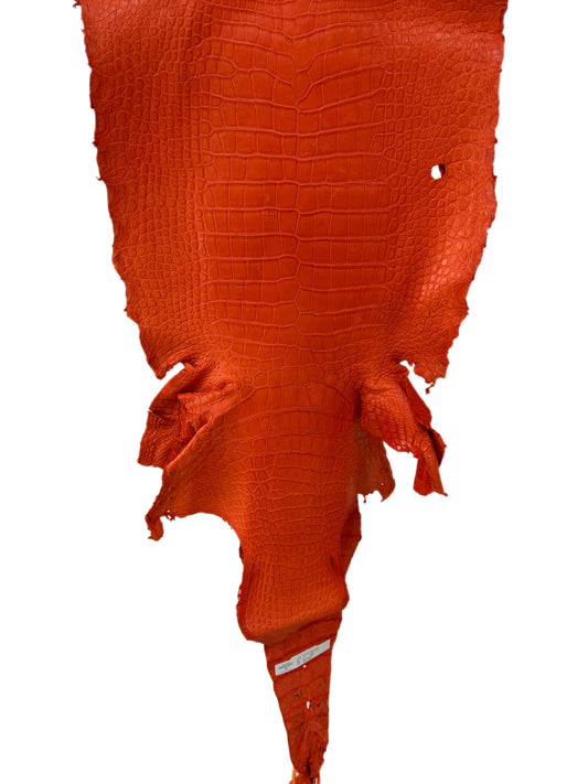 45 cm Grade 3/4 Orange Primavera Matte Wild American Alligator Leather - Tag: LA23-0003219