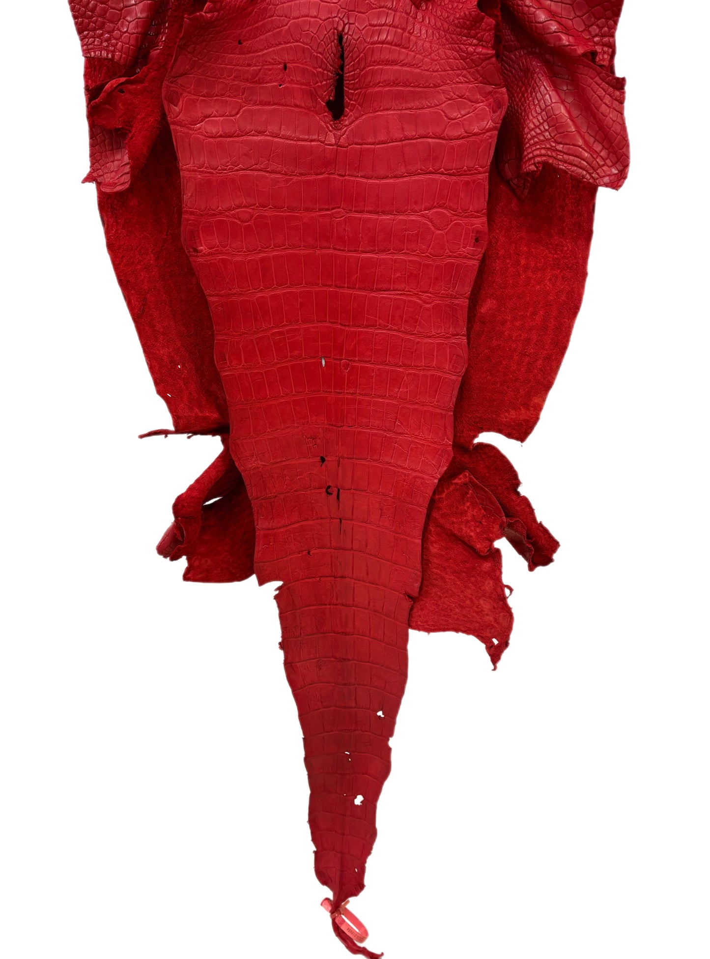 45 cm Grade 3/4 Candy Apple Red Matte Wild American Alligator Leather - Tag: LA24-0018654