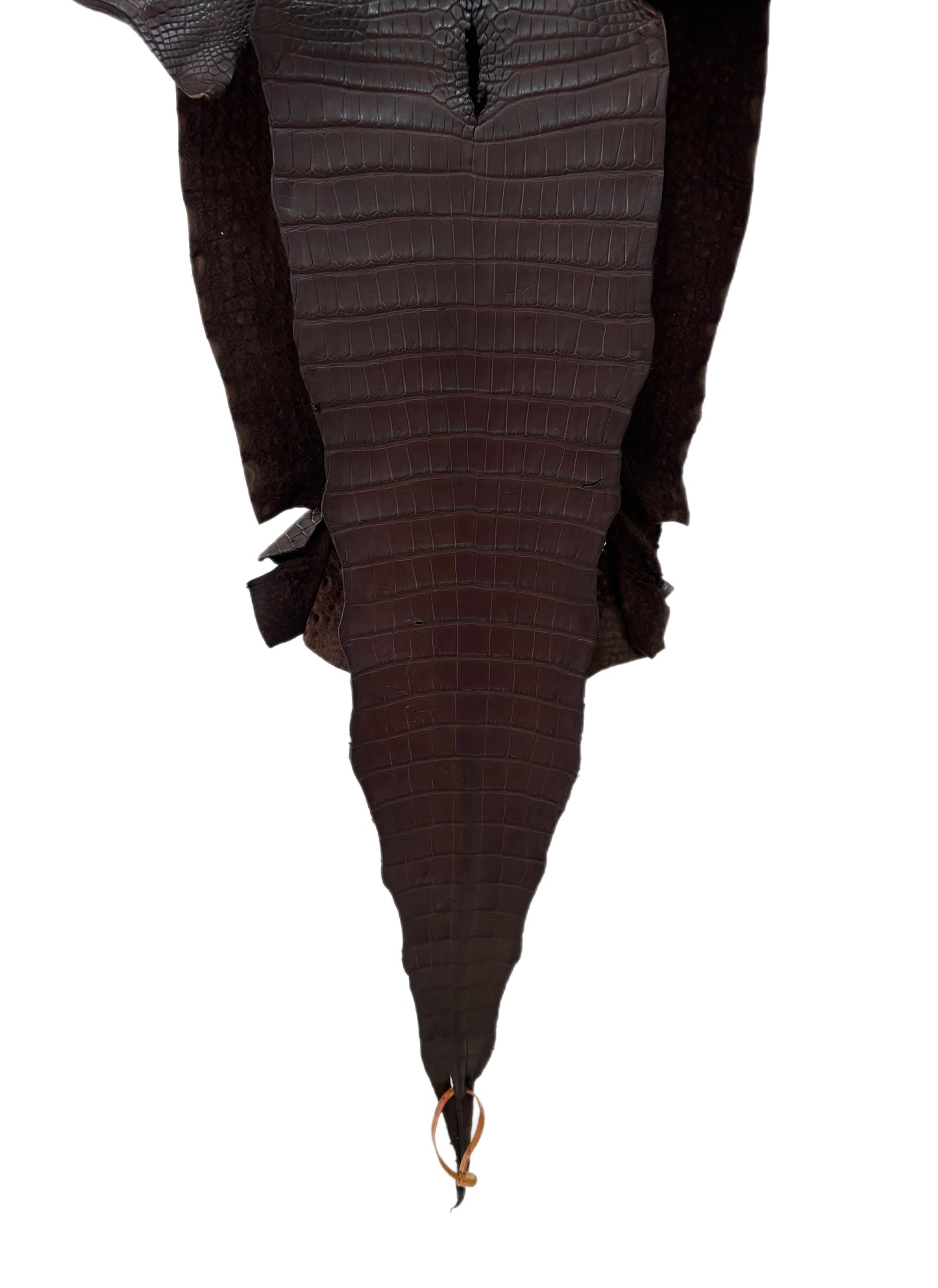 35 cm Grade 1/2 Chocolate Matte Farm-Raised American Alligator Leather - Tag: FL17-0035053