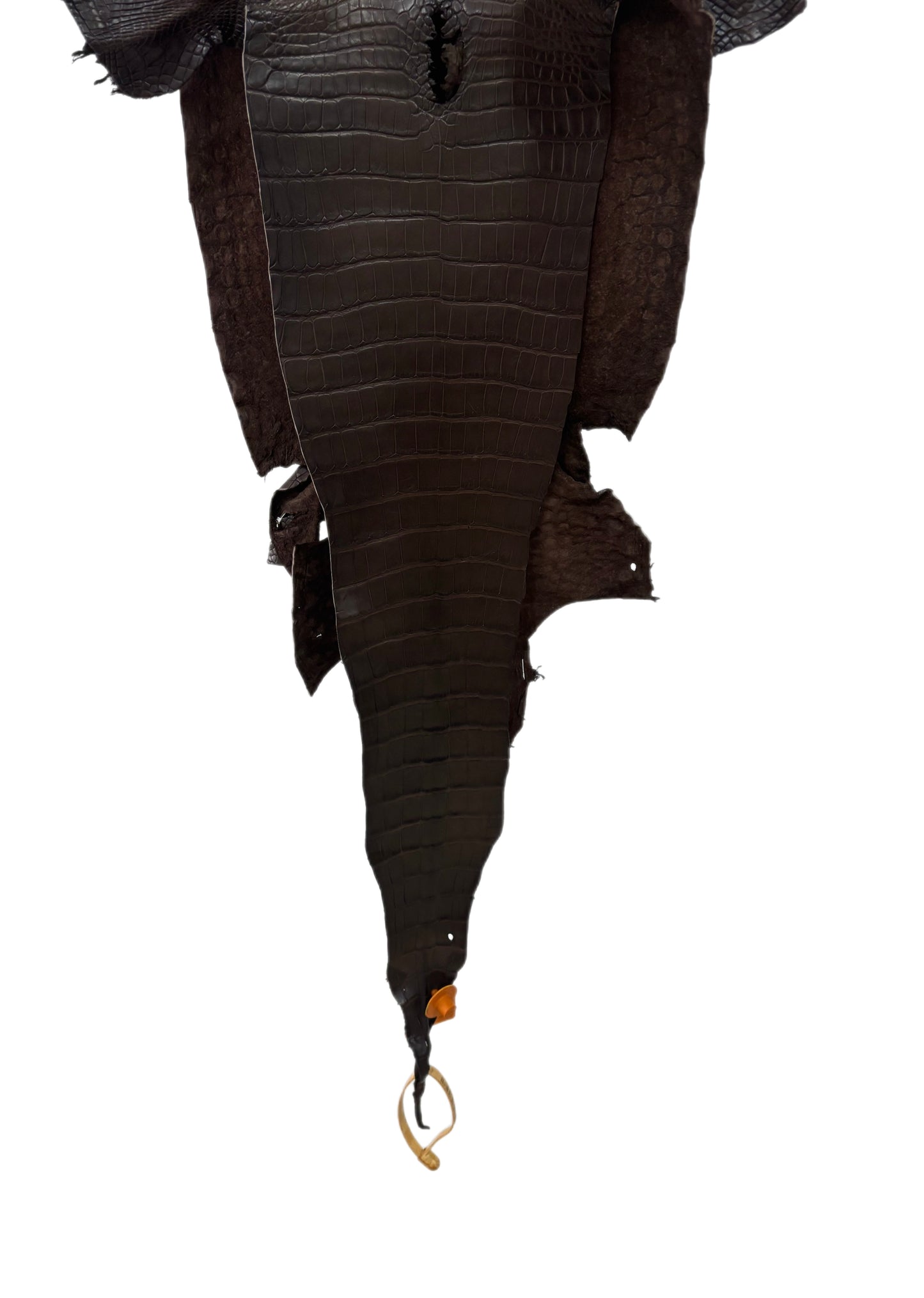 28 cm Grade 1 Chocolate Matte Wild American Alligator Leather - Tag: FL15-0057346