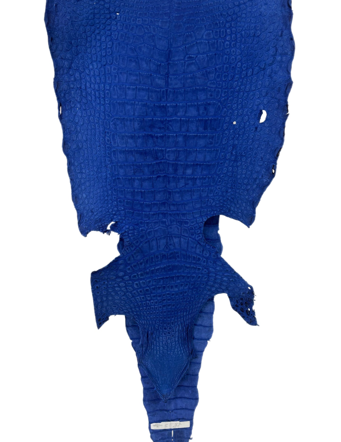 44 cm Grade 3/4 Cobalt Blue Nubuck Wild American Alligator Leather - Tag: LA22-0021549