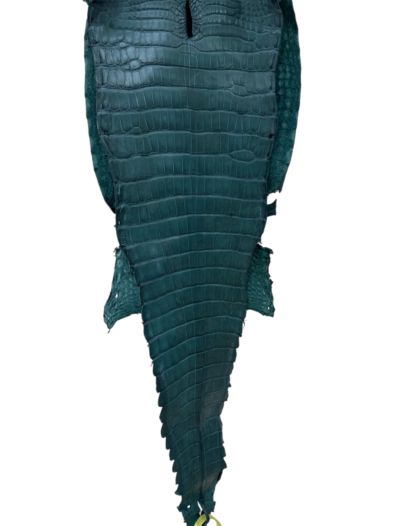 23 cm Grade 4/5 Teal Matte Farm-Raised American Alligator Leather - Tag: FL22-0030247