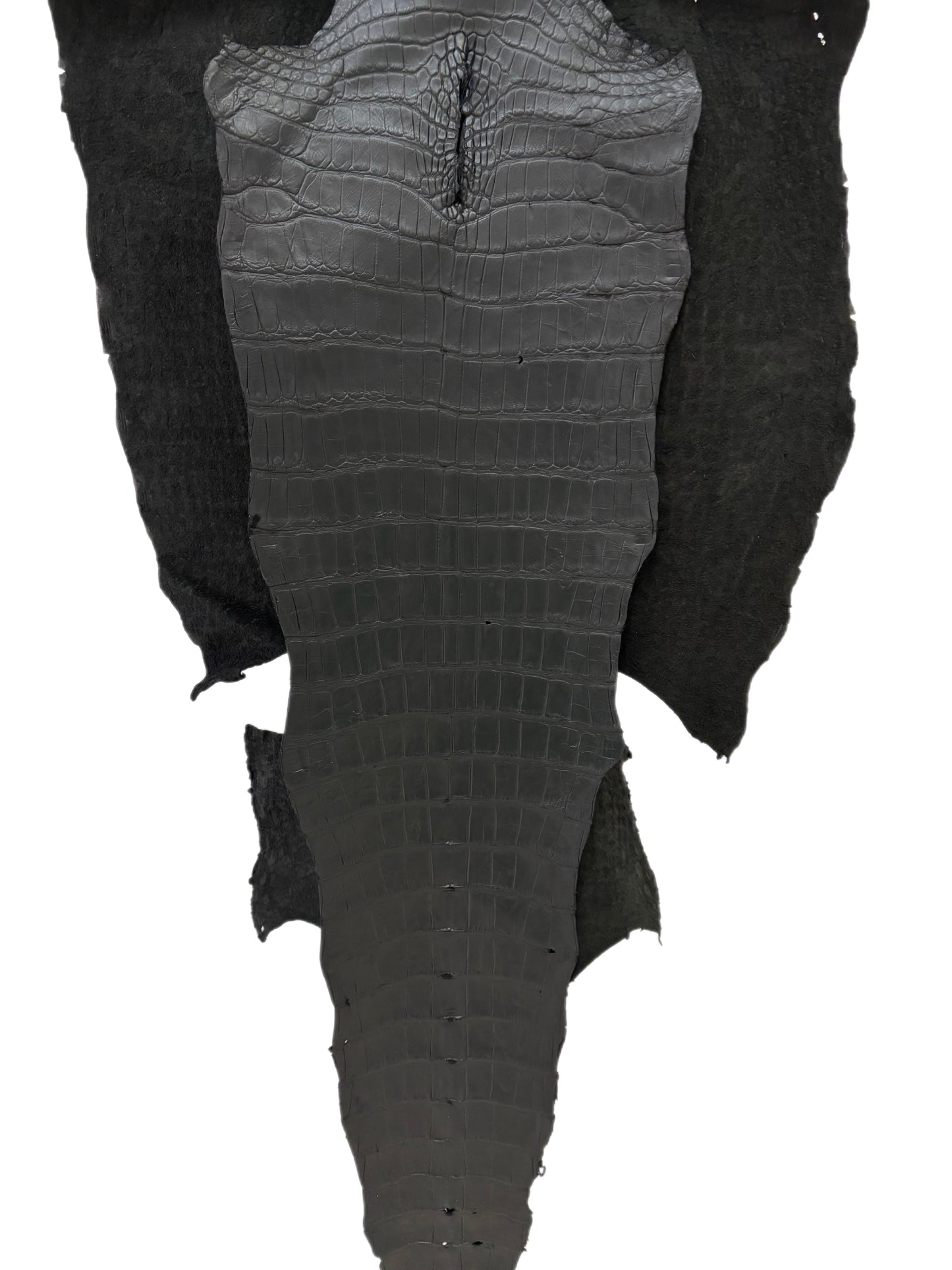 53 cm Grade 3/4 Black Matte Wild American Alligator Leather - Tag: LA22-0016747