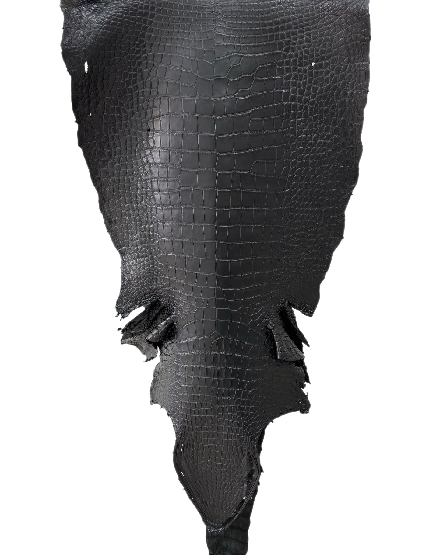 44 cm Grade 2/3 Black Matte Wild American Alligator Leather - Tag: LA22-0004081