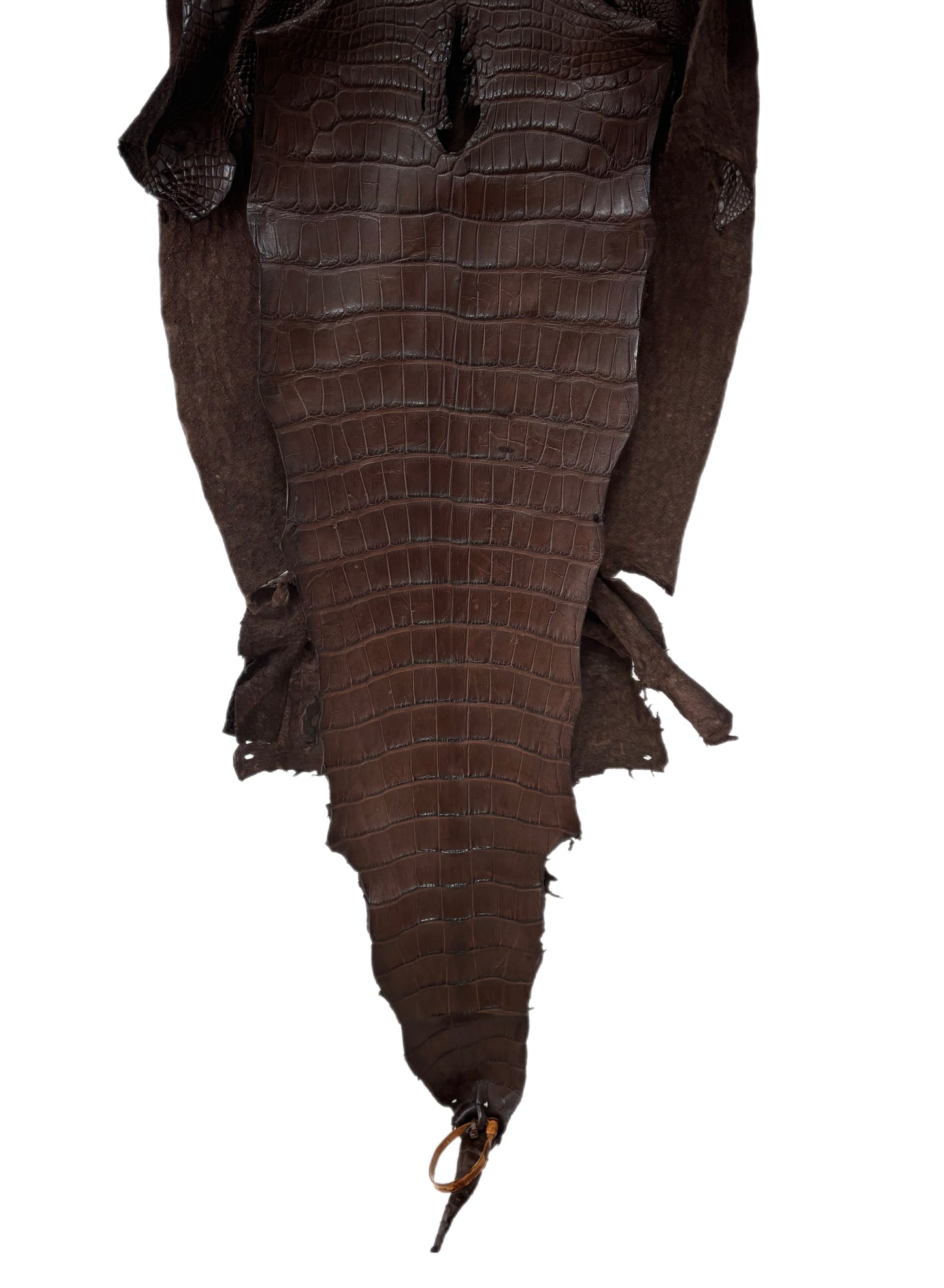 42 cm Grade 3/4 Chocolate Matte Wild American Alligator Leather - Tag: LA23-0000097