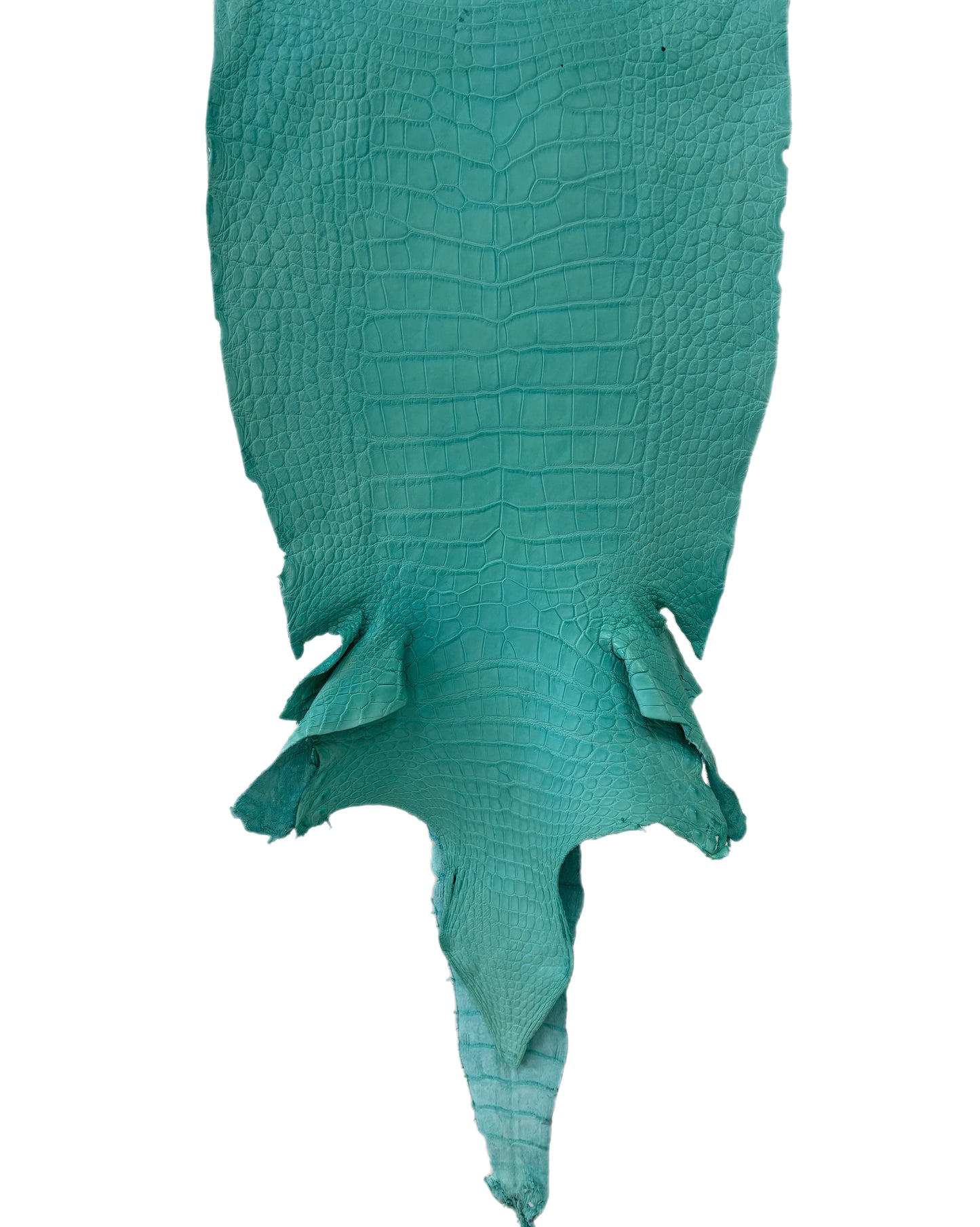 39 cm Grade 2/3 Seafoam Matte Wild American Alligator Leather - Tag: LA23-0023031