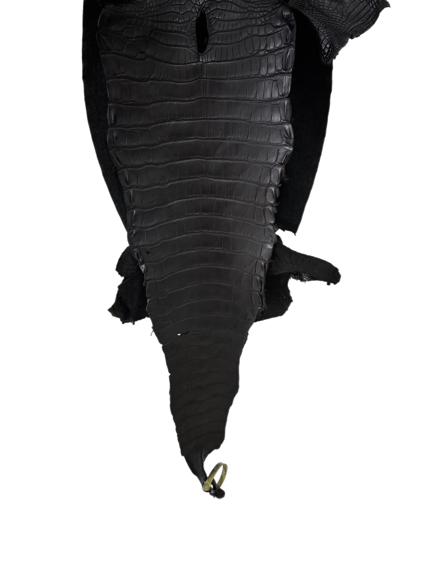 34 cm Grade 2/3 Black Matte Farm-Raised American Alligator Leather - Tag: LA25-0311098
