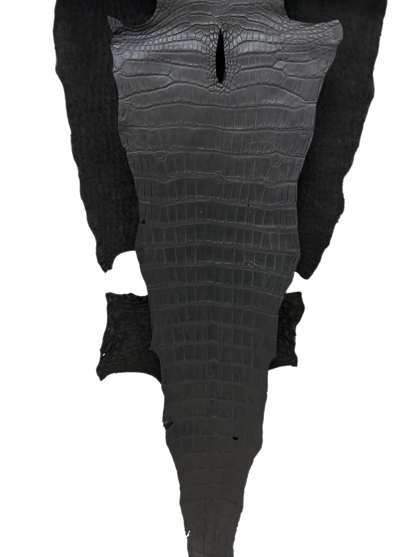 45 cm Grade 2/3 Black Matte Wild American Alligator Leather - Tag: LA22-0004052