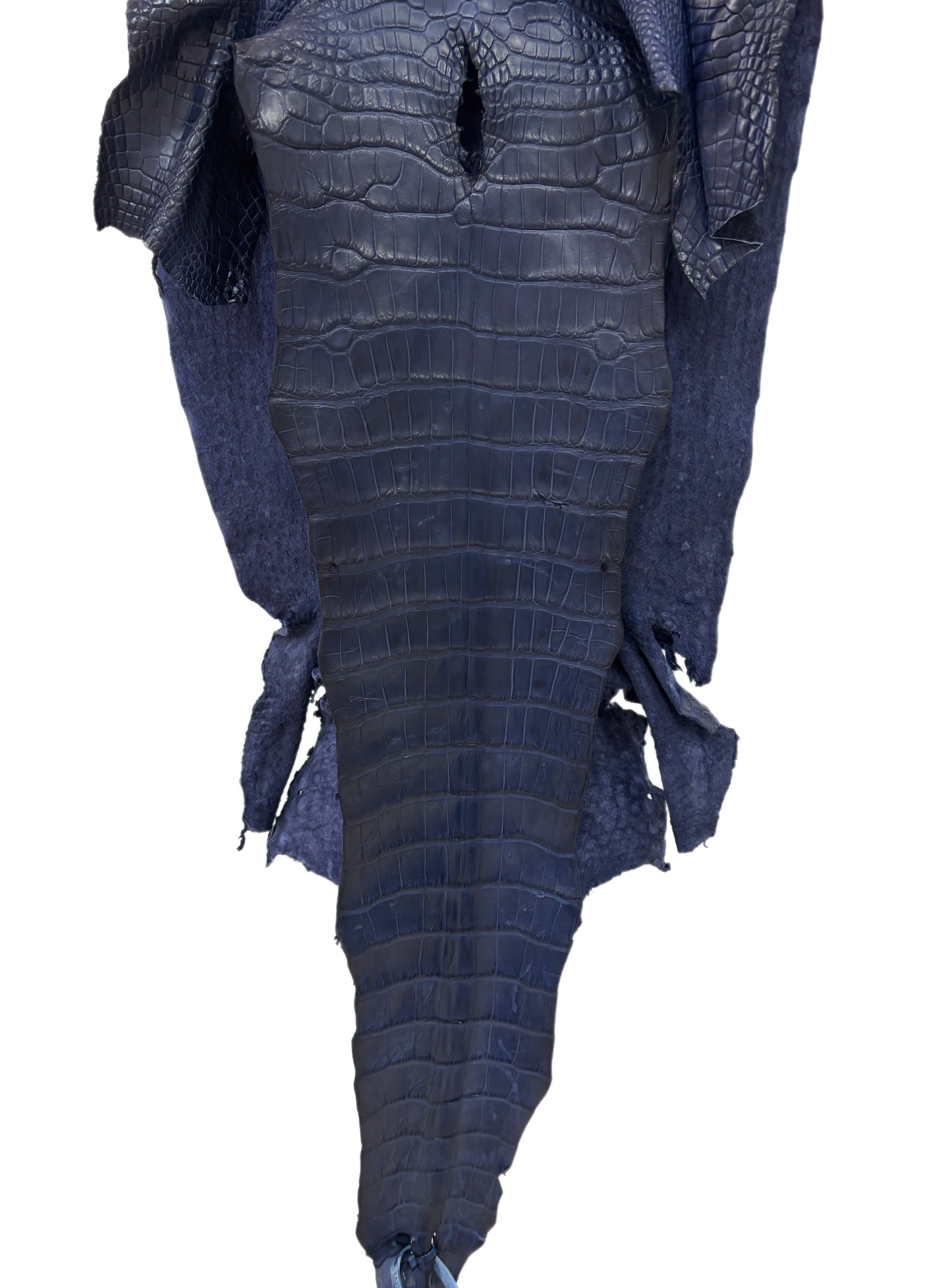 37 cm Grade 2/3 Navy Blue Desert Wild American Alligator Leather - Tag: LA23-0015406