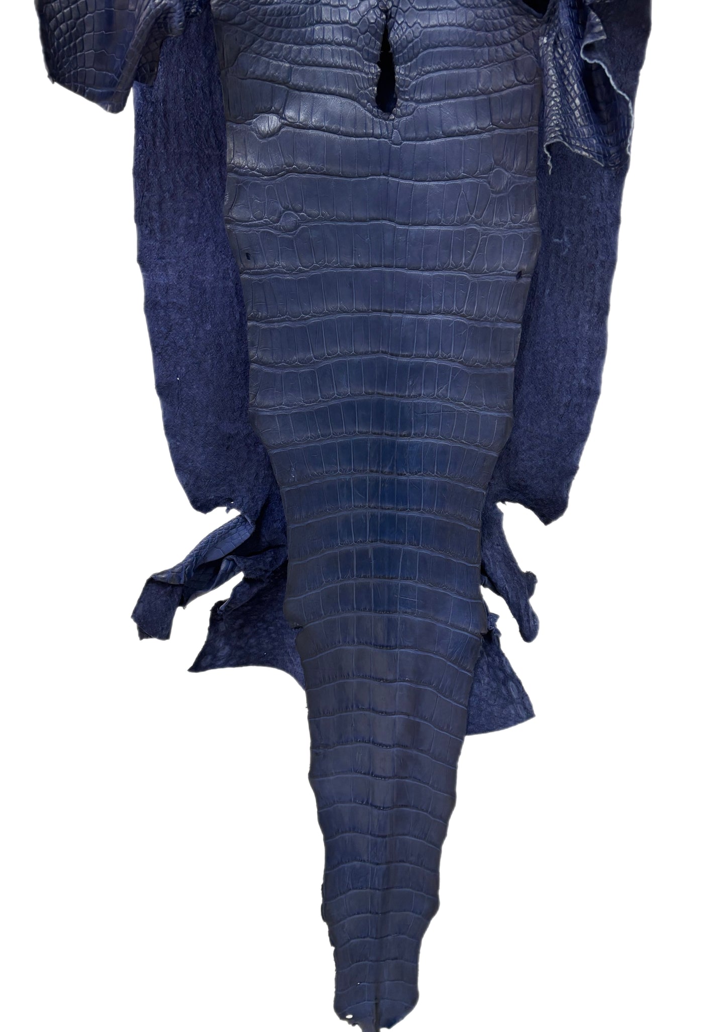 40 cm Grade 4/5 Navy Blue Desert Wild American Alligator Leather - Tag: LA24-0022821