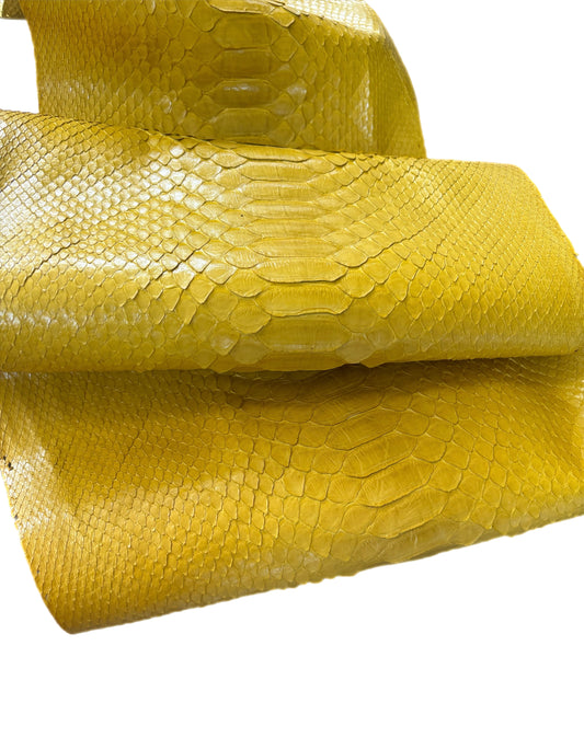 2.25 M Back Cut Canary Yellow Glazed Python