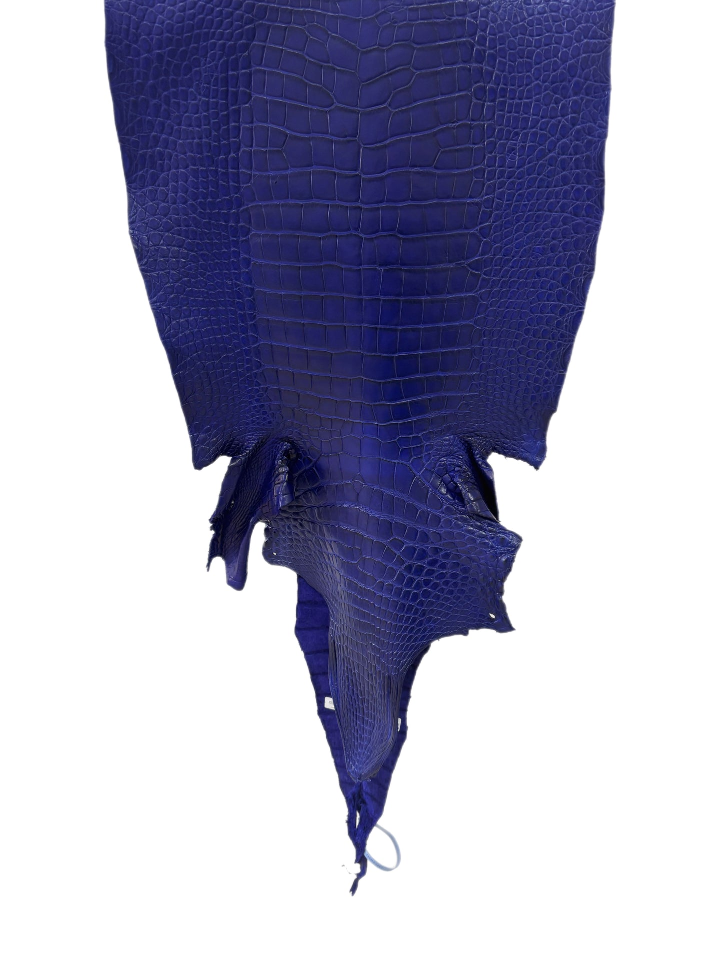 43 cm Grade 2/3 Cobalt Blue Matte Wild American Alligator Leather - Tag: LA23-0016343