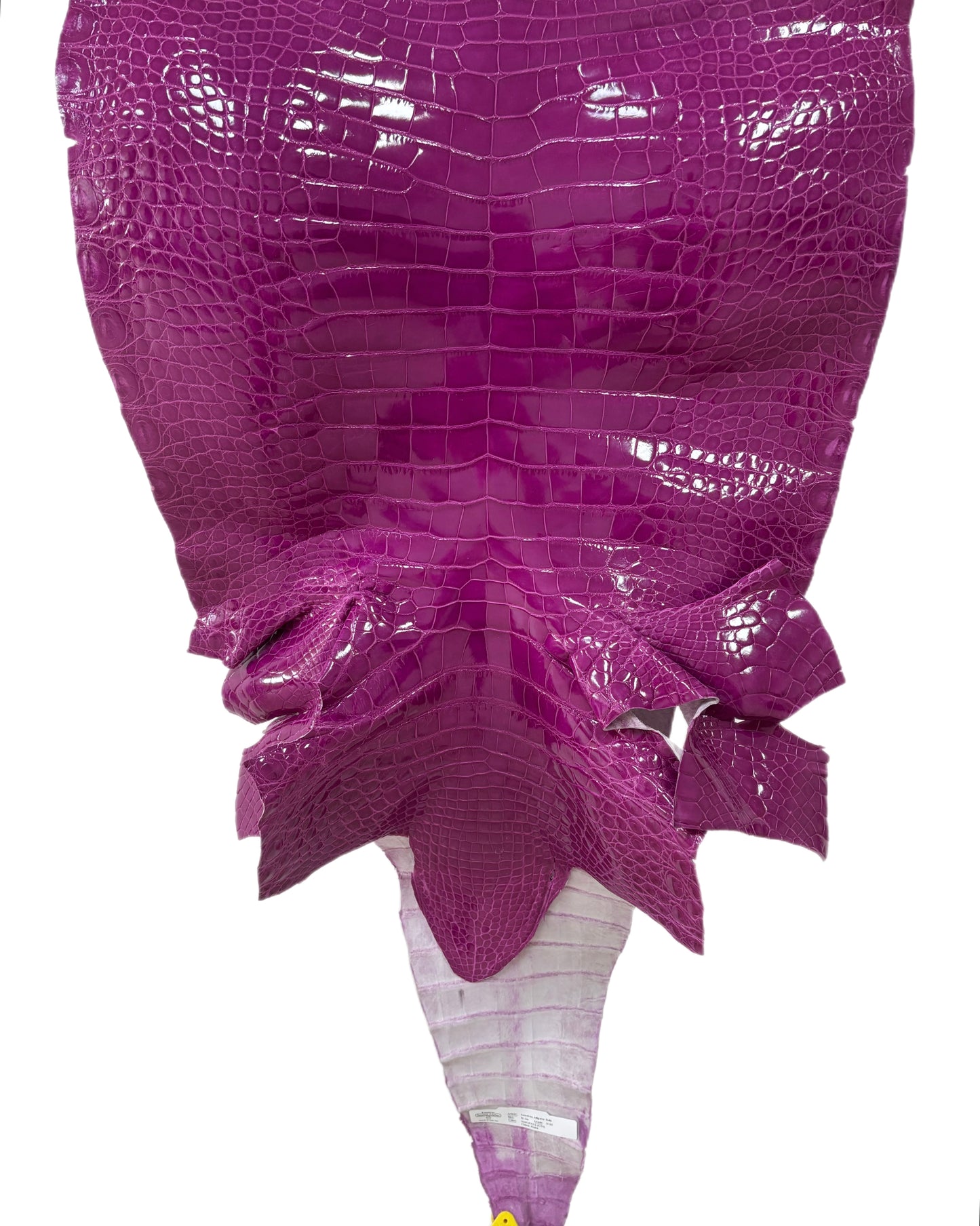 51 cm Grade 2/3 Magenta Glazed Farm Raised American Alligator Leather - Tag: FL14-0003606