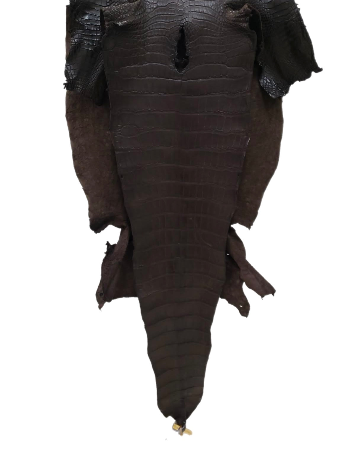 45 cm Grade 2/3 Kralle Brown Matte Farm American Alligator Leather - Tag: LA23-0001219