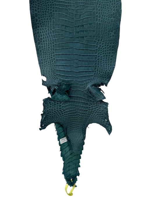 23 cm Grade 4/5 Teal Matte Farm-Raised American Alligator Leather - Tag: FL22-0030247