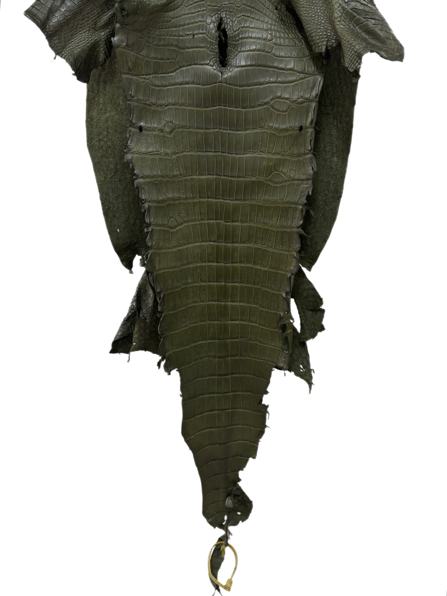 38 cm Grade 2/3 Olive Matte Wild American Alligator Leather - Tag: LA23-0004850