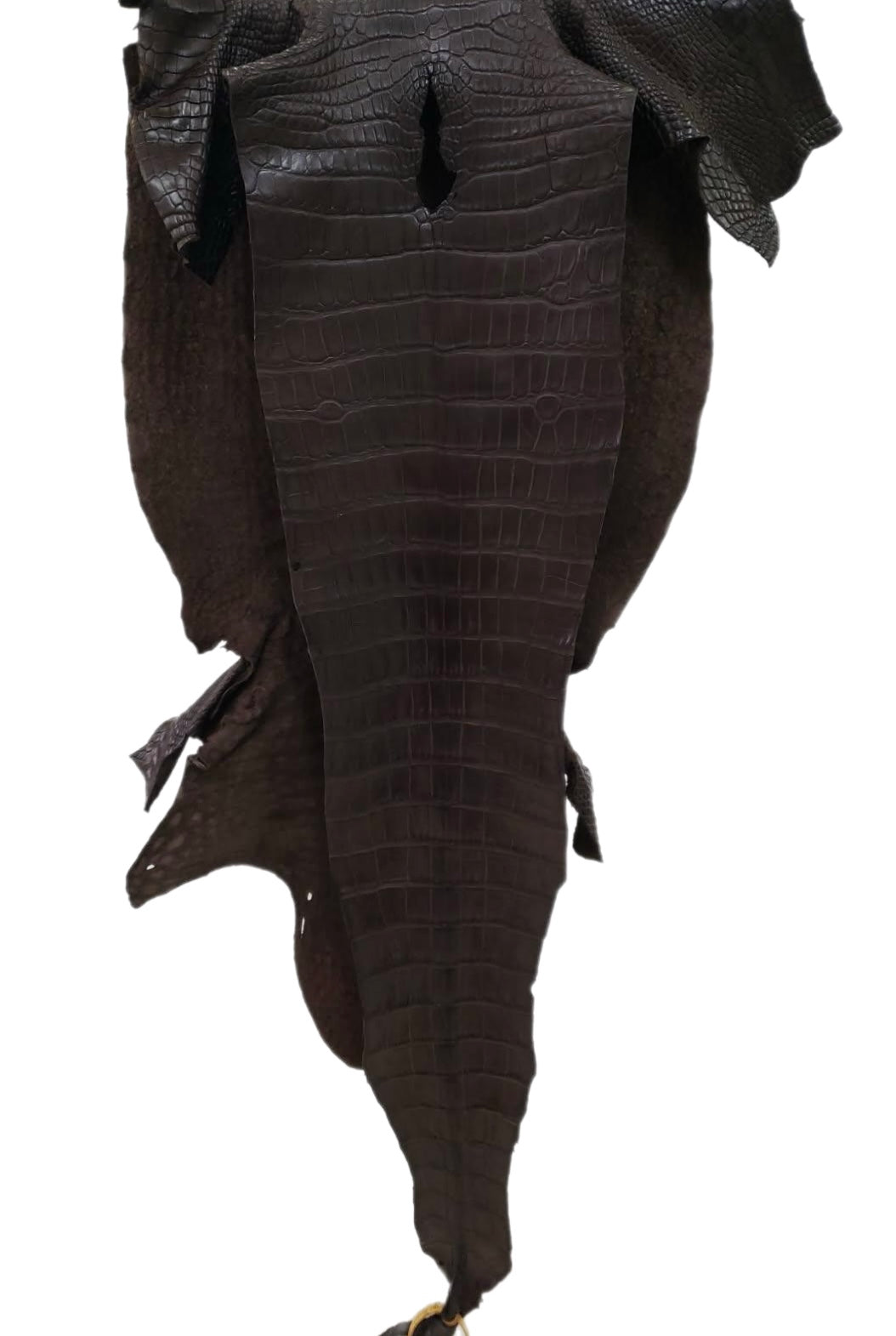 40 cm Grade 3/4 Kralle Brown Matte Wild American Alligator Leather - Tag: LA23-0030213