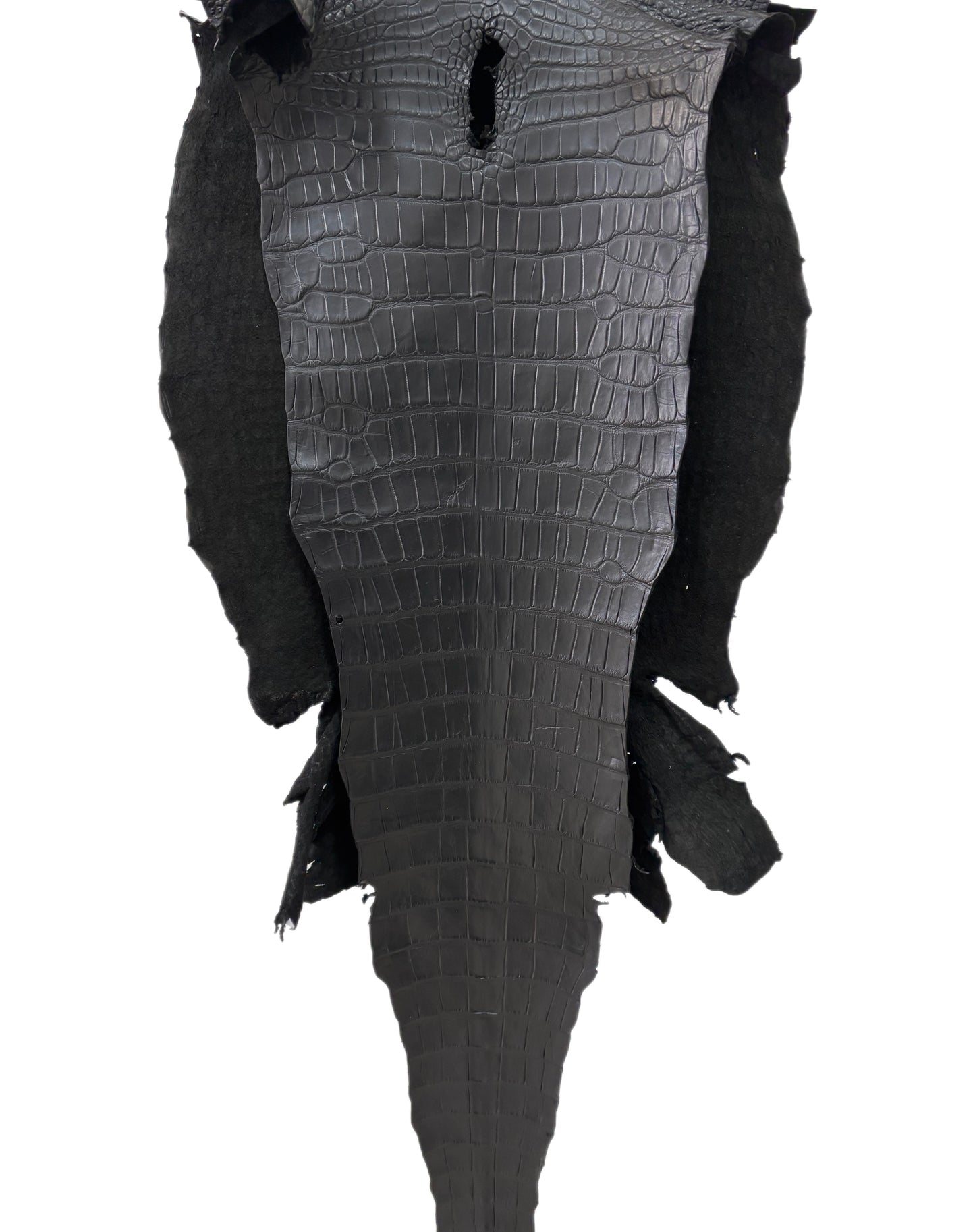 44 cm Grade 2/3 Black Matte Wild American Alligator Leather - Tag: LA22-0004081
