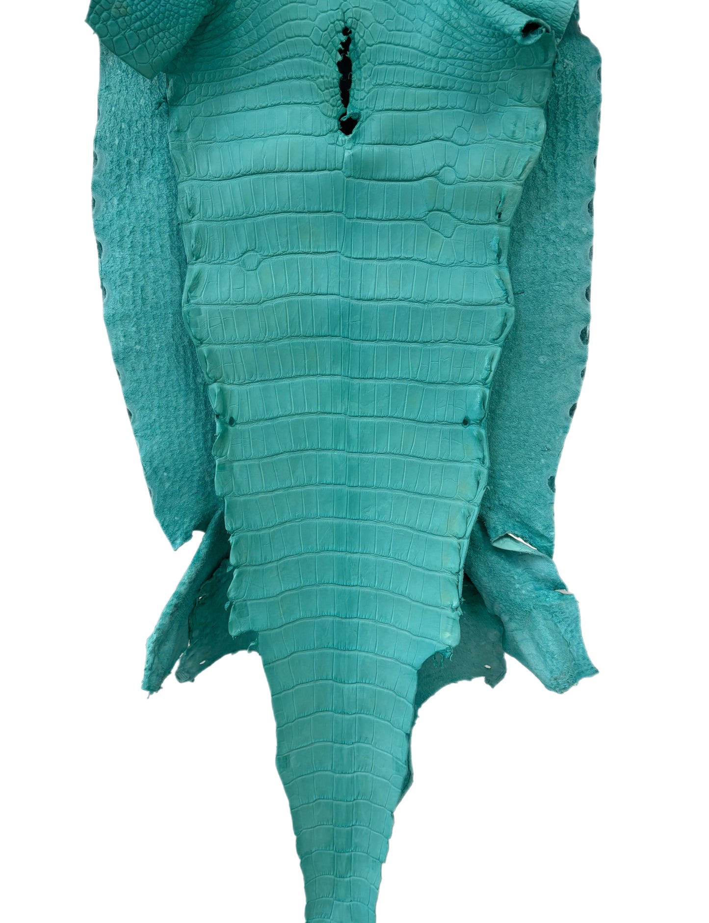 42 cm Grade 2/3 Seafoam Matte Wild American Alligator Leather - Tag: LA23-0003846