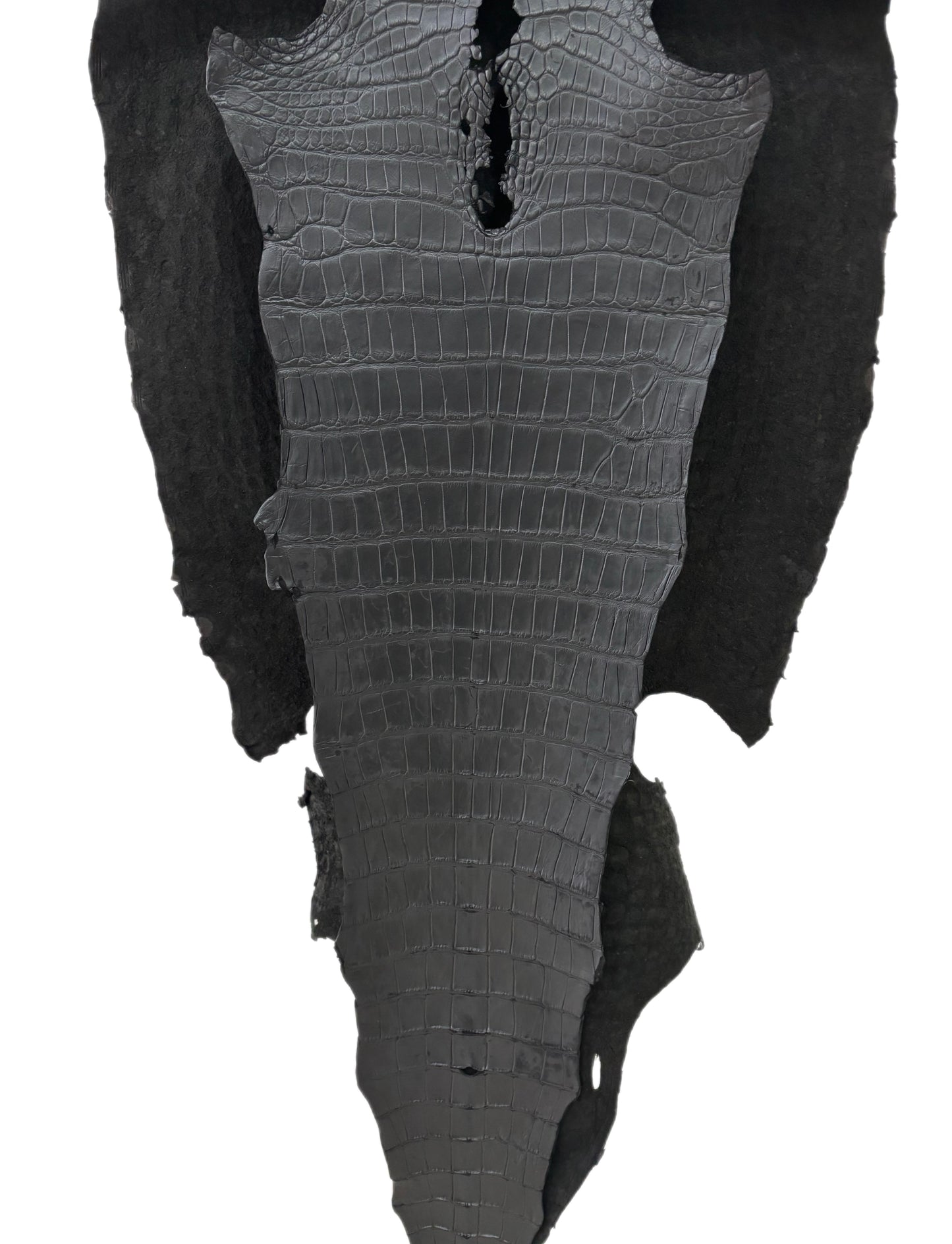55 cm Grade 4/5 Black Matte Wild American Alligator Leather - Tag: LA22-0030448
