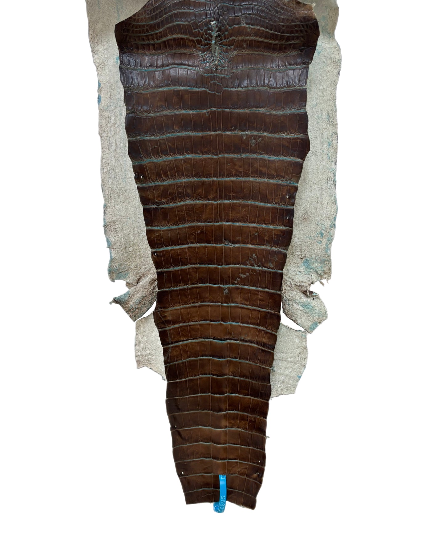 30 cm Grade 2/3 Pacifica Matte Wild American Alligator Leather - Tag: ESRE-0050895