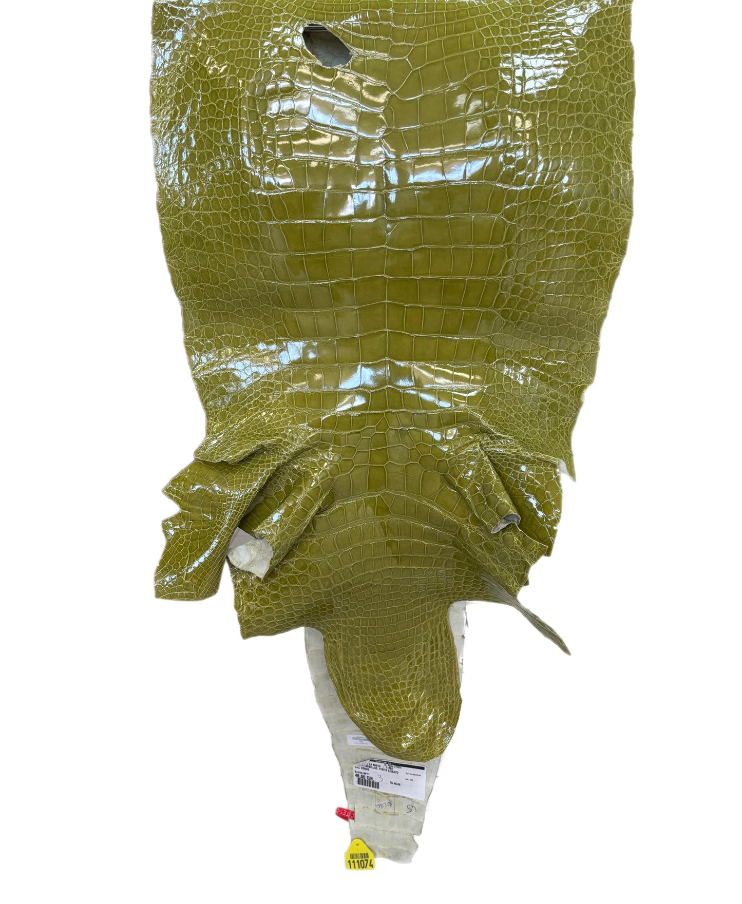 CLOSEOUT | 45 cm Grade 2/3 Muguet Glazed Wild American Alligator Leather - Tag: CCIT-0539940