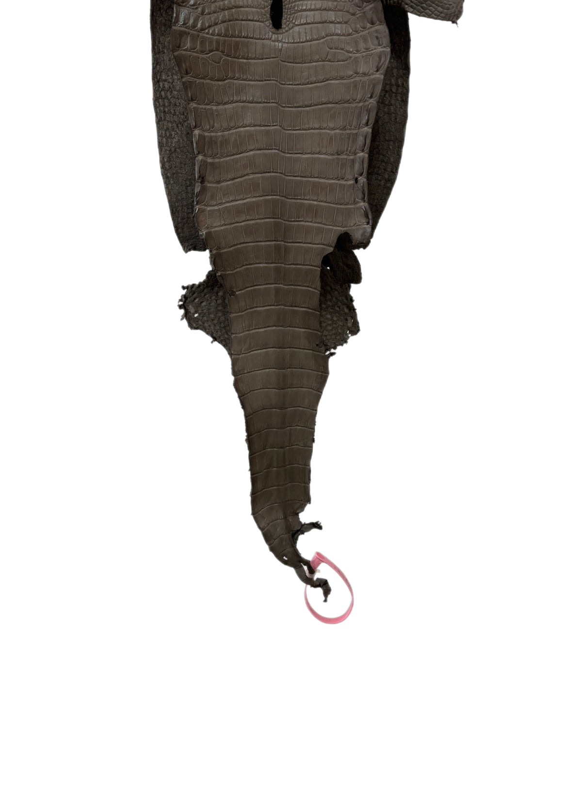24 cm Grade 1/2 Etain Matte Farm-Raised American Alligator Leather - Tag: LA24-0228888