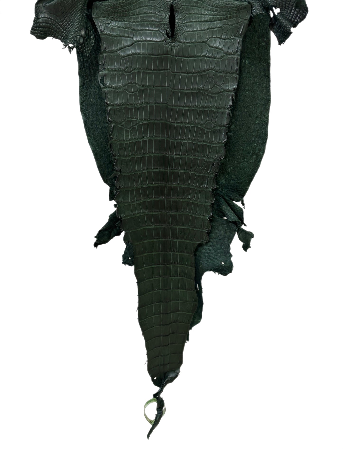 33 cm Grade 2/3 Forest Green Matte Wild American Alligator Leather - Tag: LA23-0002027