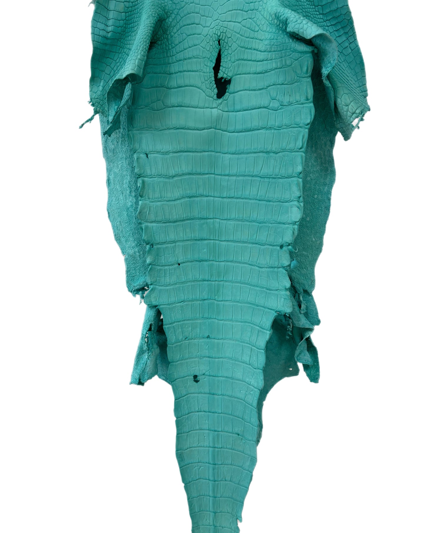 37 cm Grade 3/4 Seafoam Matte Wild American Alligator Leather - Tag: LA23-0002066