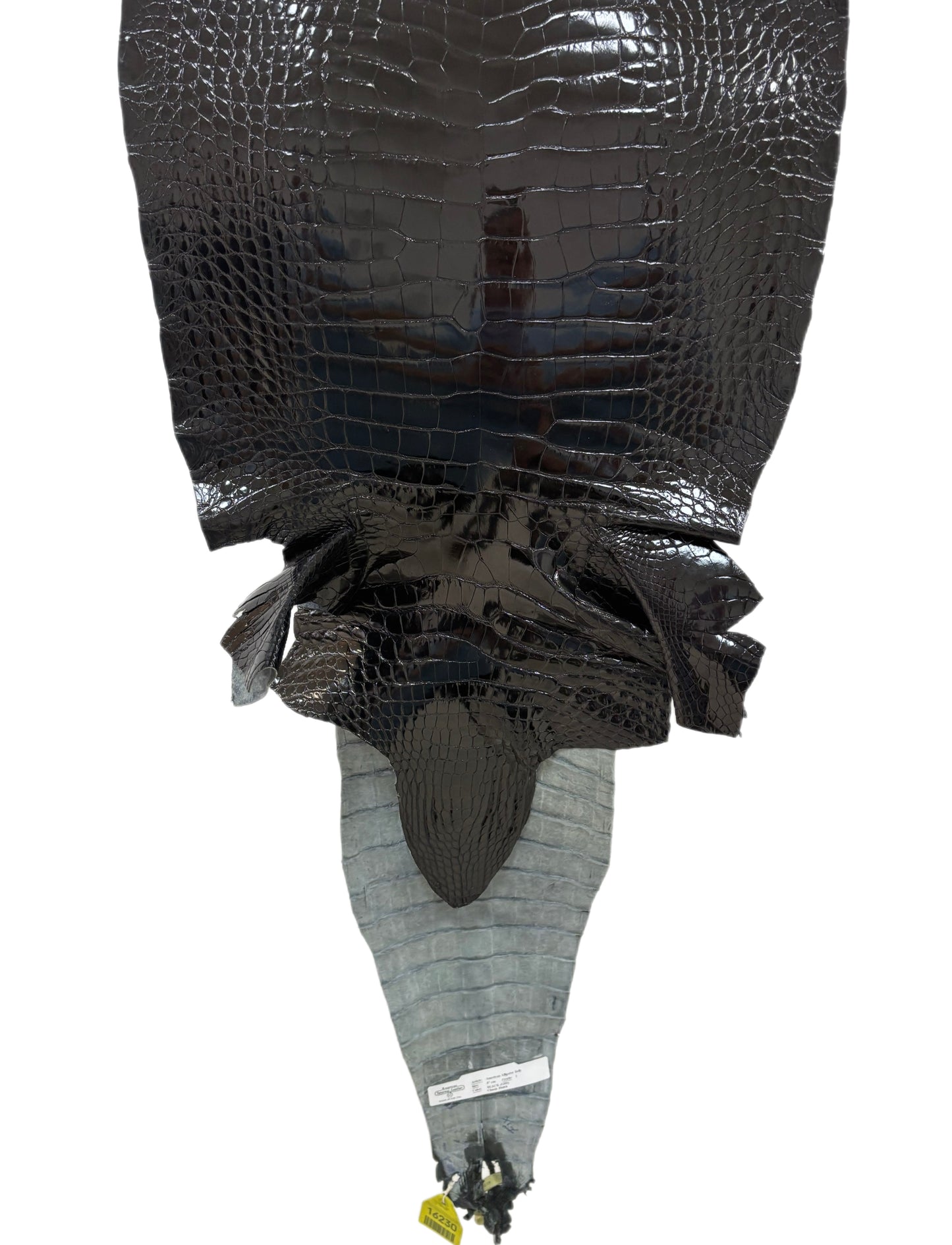 37 cm Grade 1 Black Glazed Farm-Raised American Alligator Leather - Tag: GA13-0021215