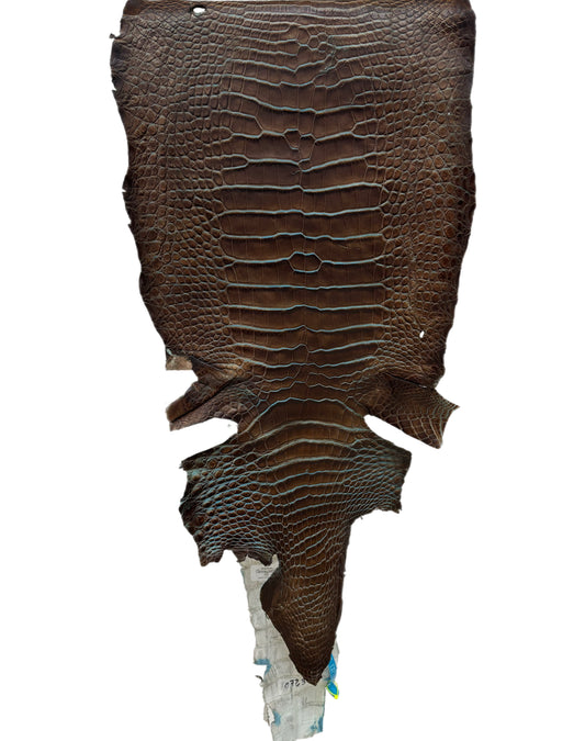 30 cm Grade 2/3 Pacifica Matte Wild American Alligator Leather - Tag: ESRE-0050911