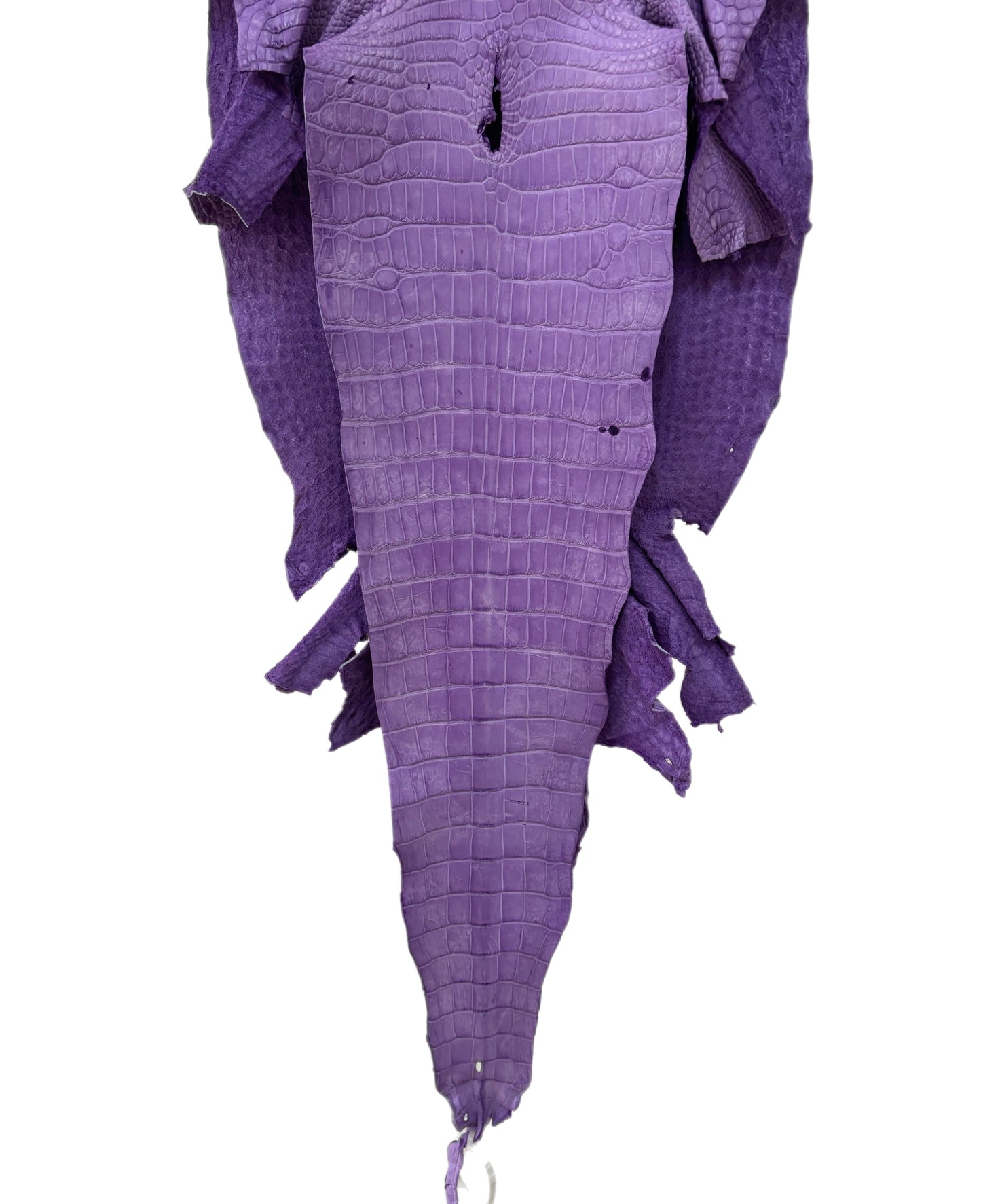 37 cm Grade 4/5 Lavender Jade Desert Wild American Alligator Leather - Tag: LA23-0003032