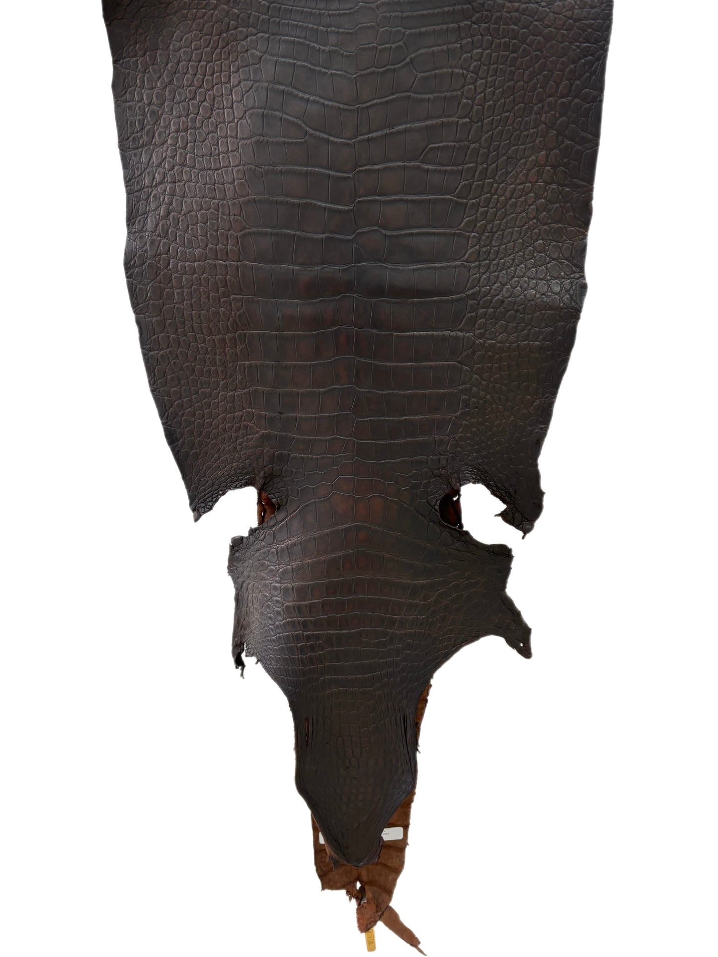 42 cm Grade 3/4 Dark Whiskey Antique Matte Wild American Alligator Leather - Tag: LA23-0005912