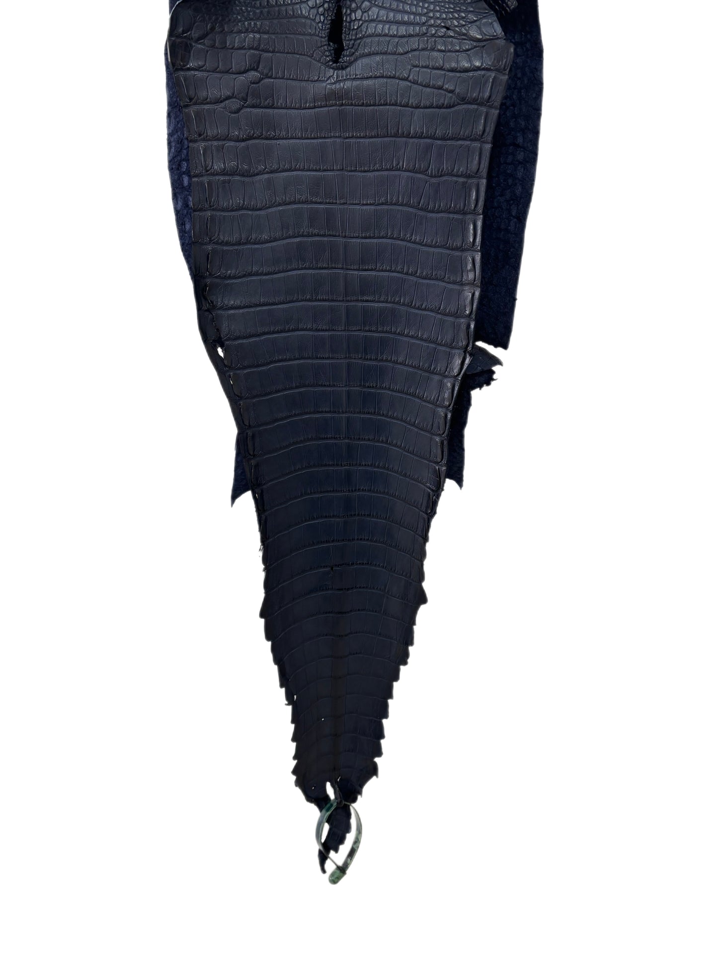 27 cm Grade 1 Navy Blue Matte Farm-Raised American Alligator Leather - Tag: FL22-0030127