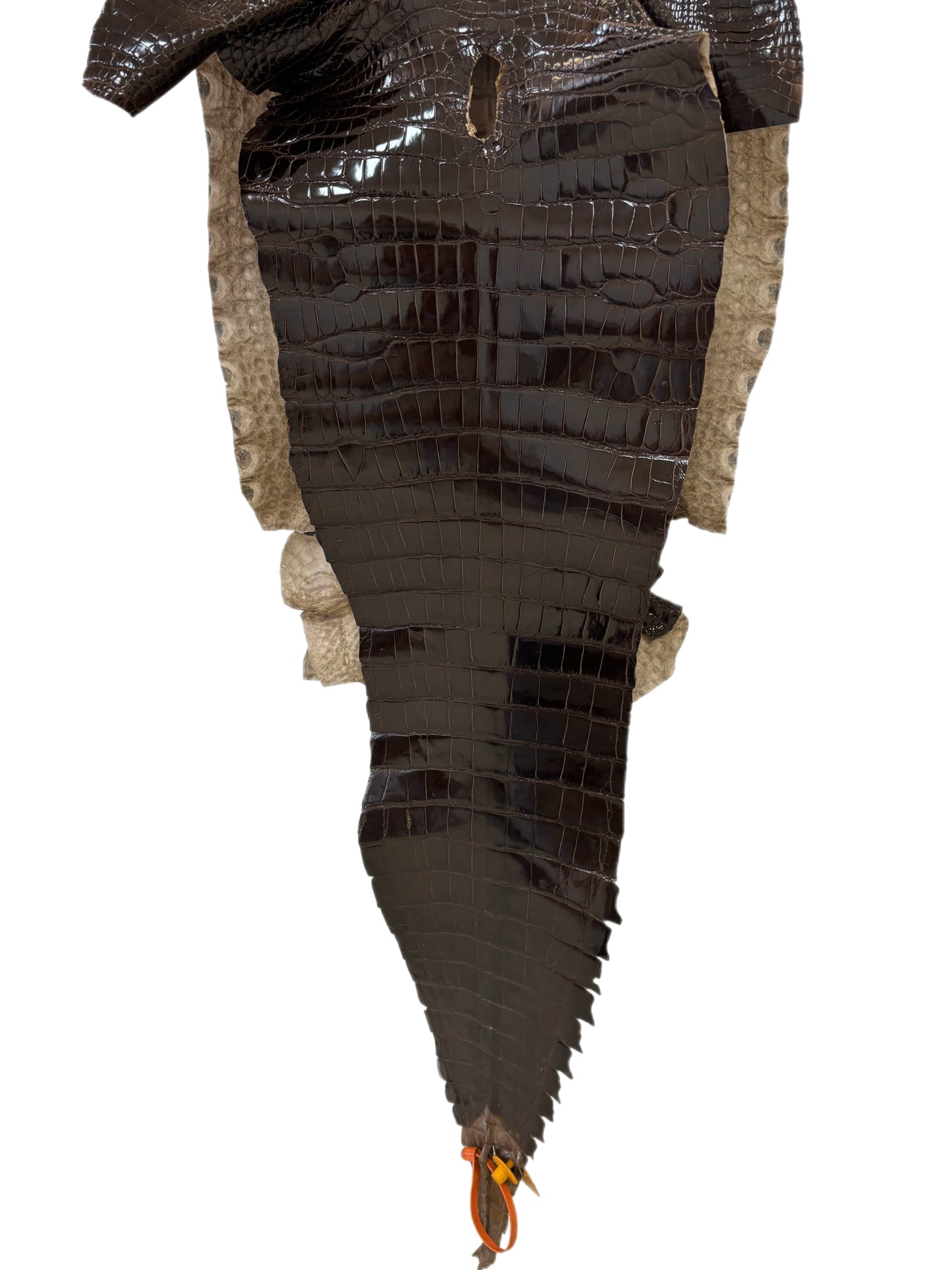 37 cm Grade 1/2 Sport Rust Brown Glazed Farm-Raised American Alligator Leather - Tag: GA14-0021495