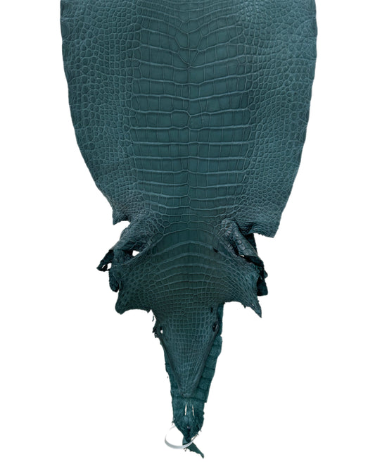 35 cm Grade 2/3 Teal Matte Wild American Alligator Leather - Tag: LA23-0007179