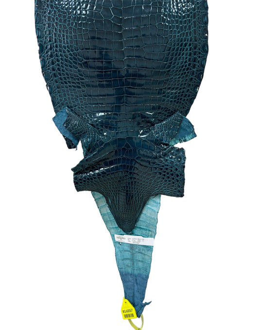 29 cm Grade 1/2 Tahiti Glazed Farm-Raised American Alligator Leather - Tag: FL16-0027421