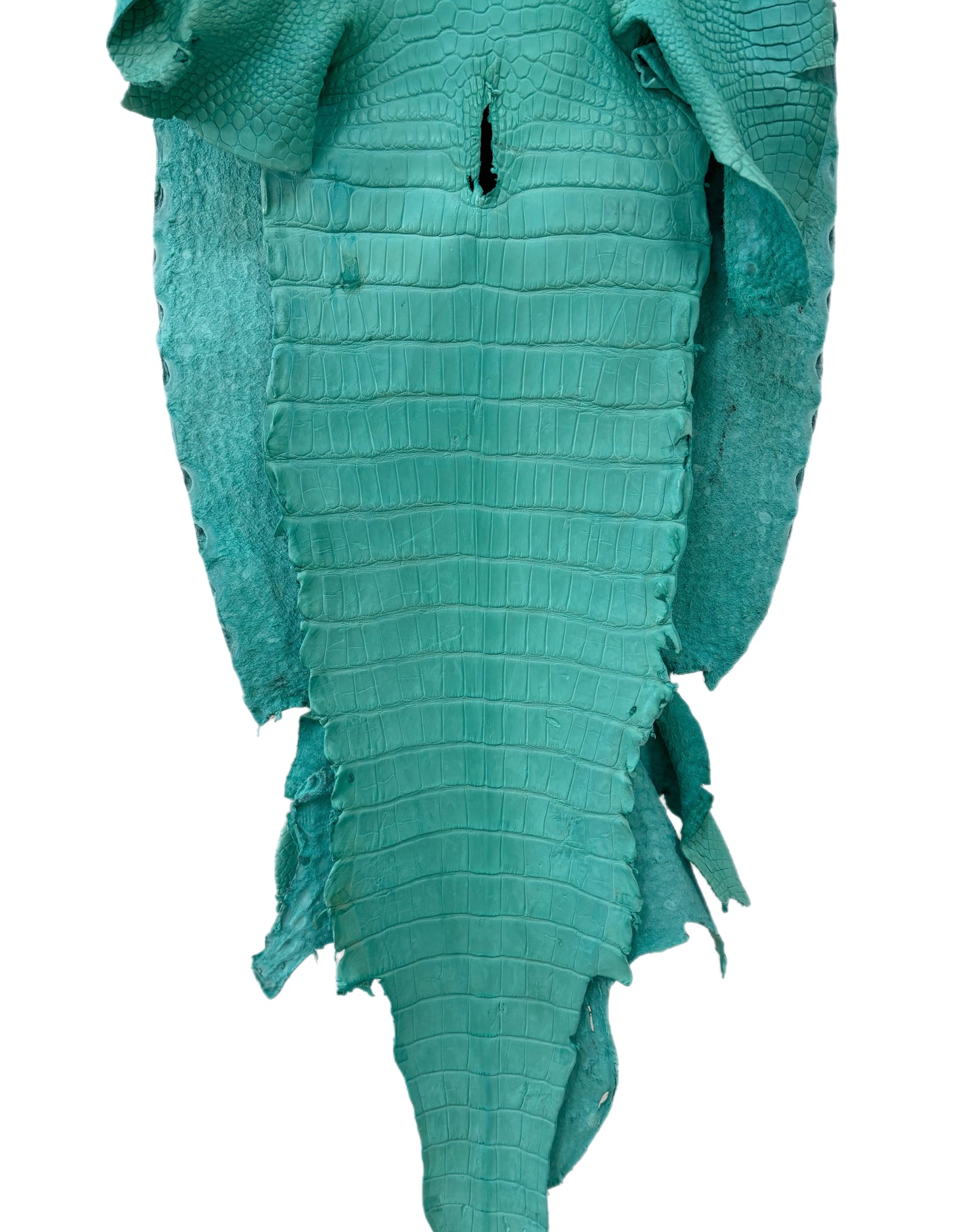41 cm Grade 3/4 Seafoam Matte Wild American Alligator Leather - Tag: LA23-0027788