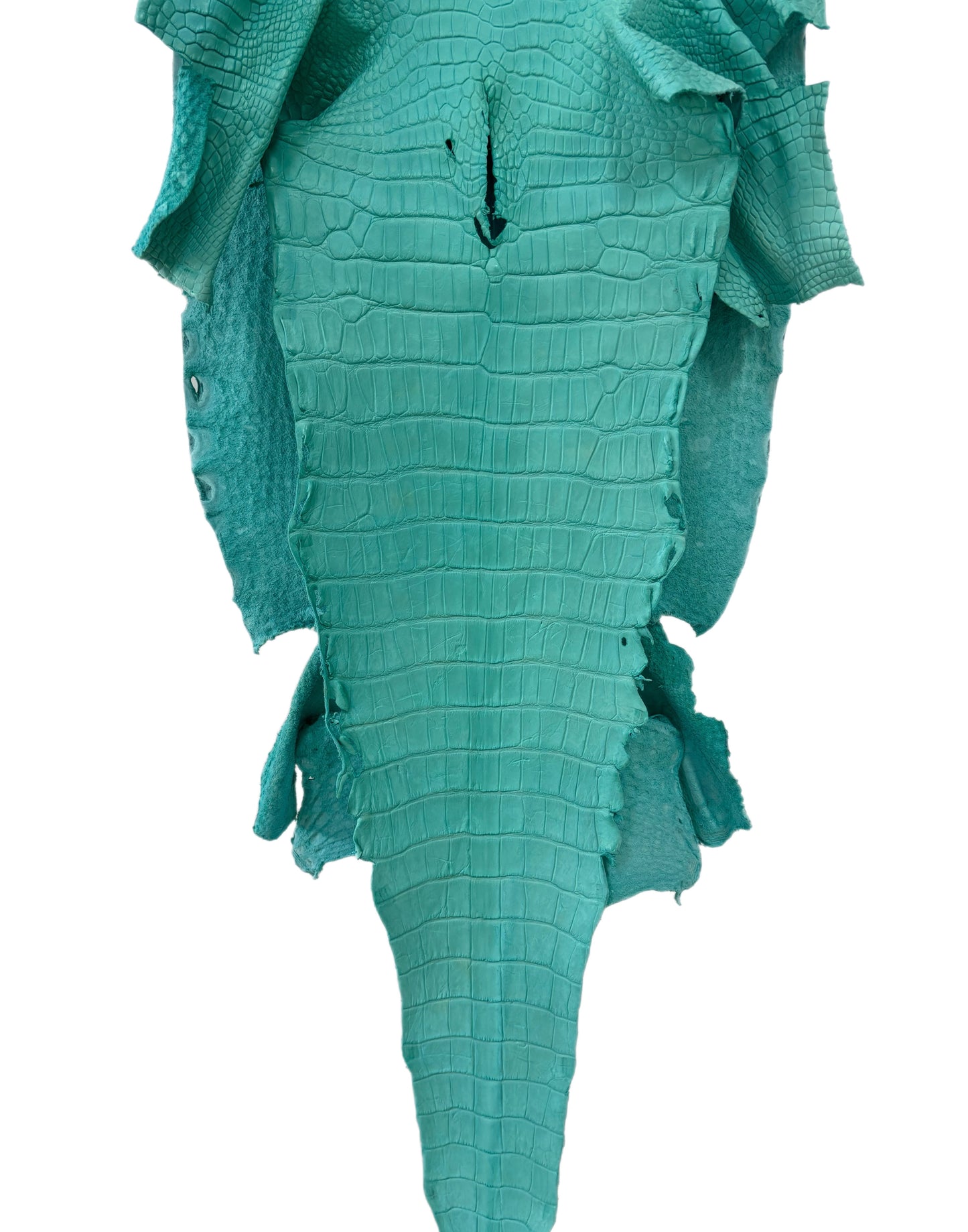 43 cm Grade 3/4 Seafoam Matte Wild American Alligator Leather - Tag: LA23-0001914